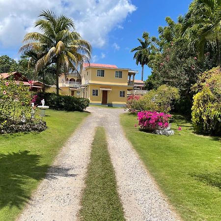 Little Shaw Park Guest House Ocho Rios Luaran gambar