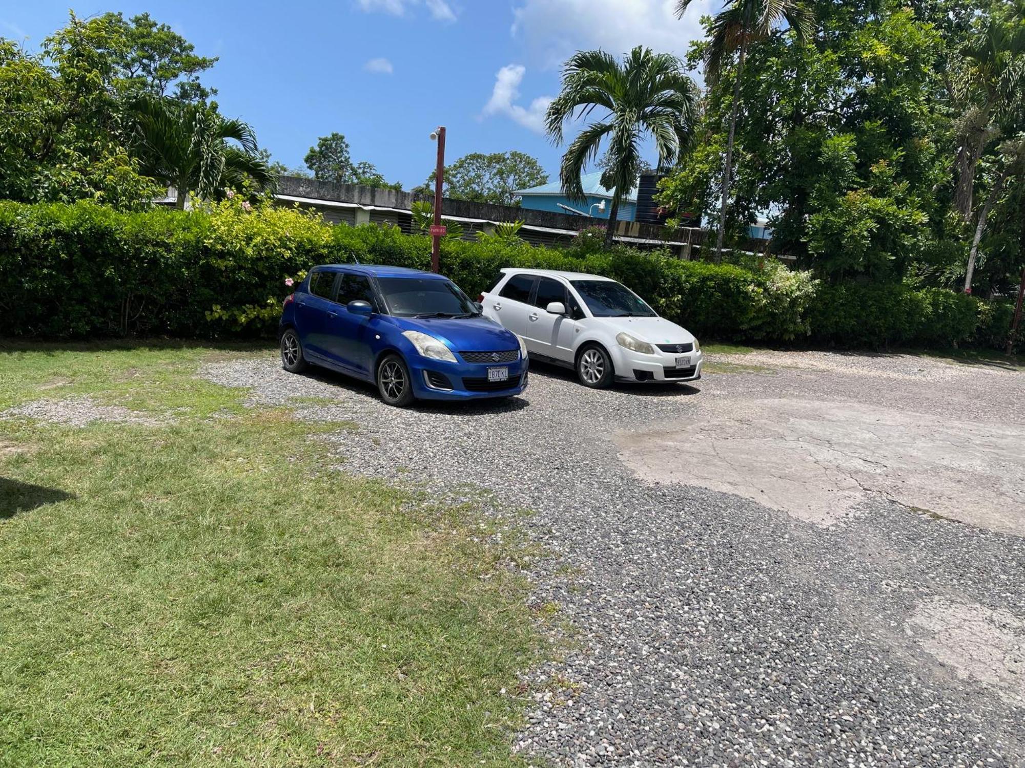 Little Shaw Park Guest House Ocho Rios Luaran gambar