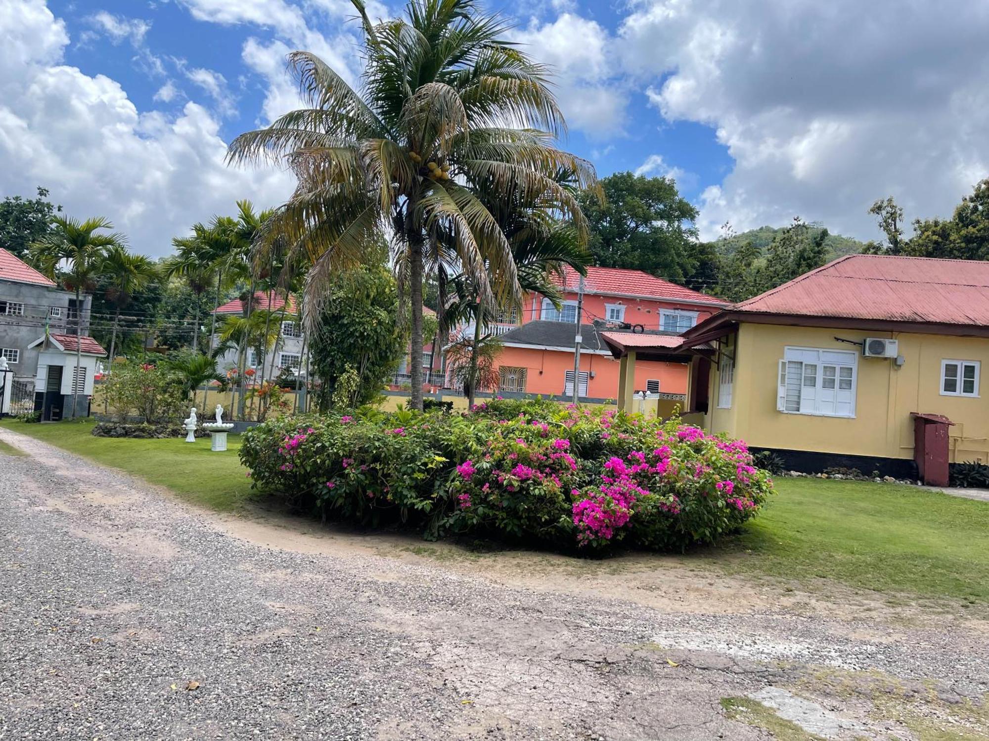 Little Shaw Park Guest House Ocho Rios Luaran gambar