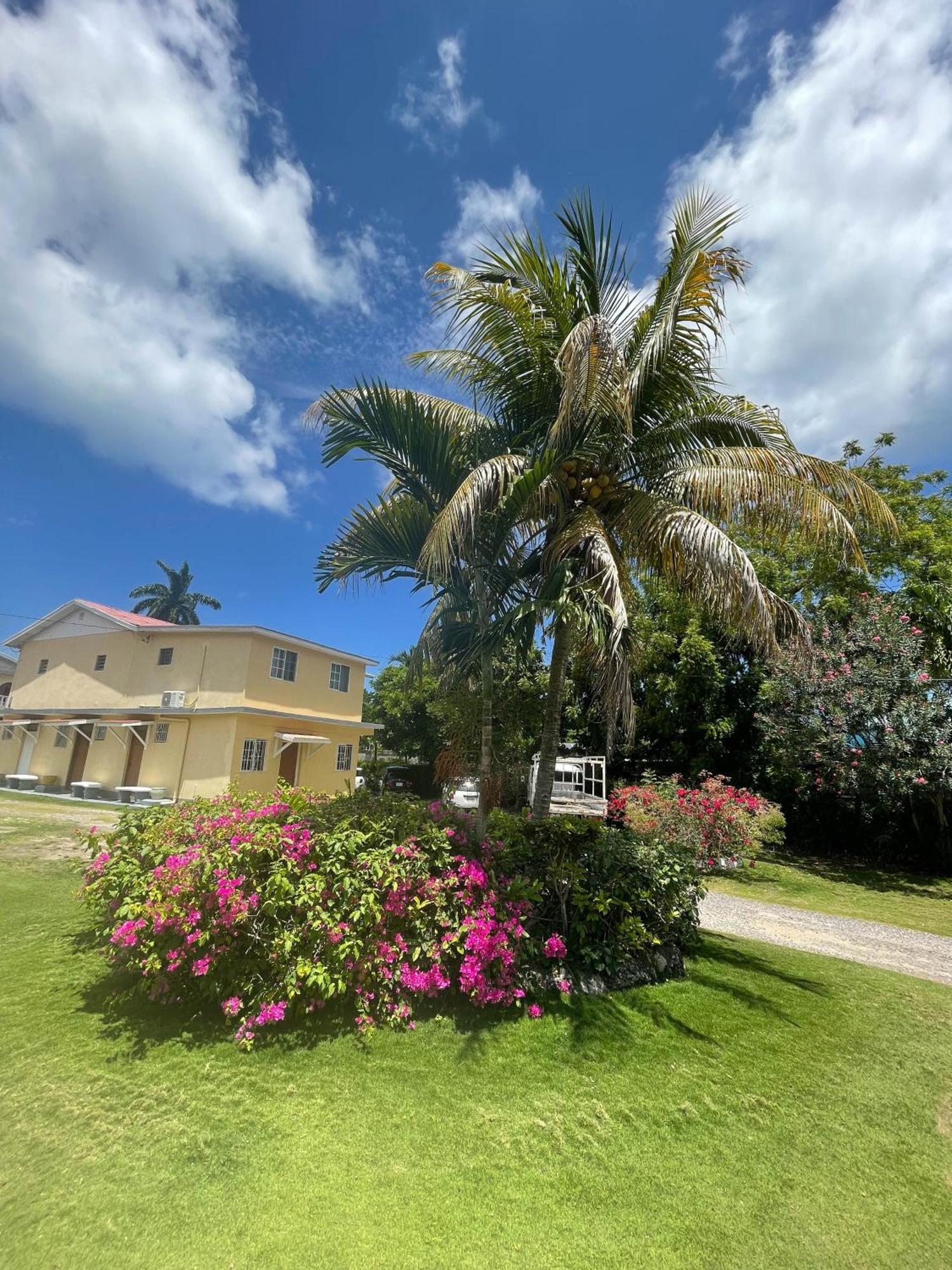 Little Shaw Park Guest House Ocho Rios Luaran gambar